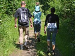 Unzählige Wandertouren führen durch den Spessart