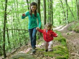 Wald erleben kannst Du im Spessart