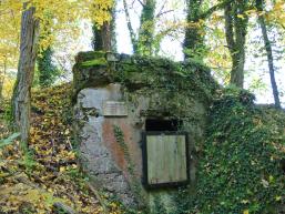 Wasserhausruine am Fellenberg Rieneck