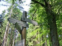 Wegweiser im Spessart