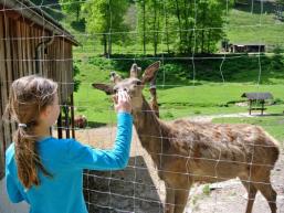 Wildpark Heigenbrücken im Spessart