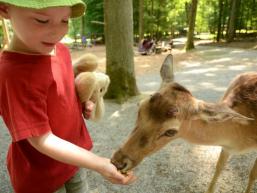 Tierpark Klaushof bei Bad Kissingen