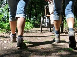 Auf Schusters Rappen durch den Spessart unterwegs - Waldwege laden zum Wandern ein