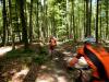 Fahraktiver Trail auf Waldboden