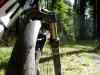 Highlight MTB im Spessartwald