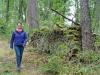 Wandern durch den Spessartwald bei Gemünden